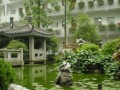 校内公园