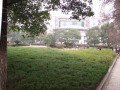 学校一角