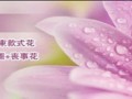 父亲节送束什么花