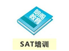 1V1SAT强化保分班 周末班