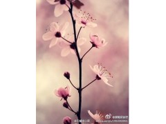 推理与证明，南通初中数学补习班，