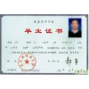 大专本科学历轻松拿，抓紧报名了