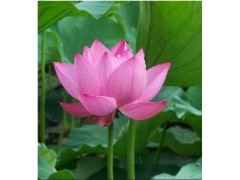 注塑零缺陷原因分析培训2013年9月14