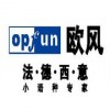 南京欧风–西班牙语基础Ⅱ