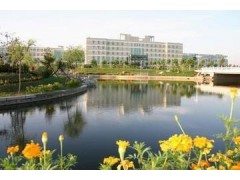 山东财经大学实践本科