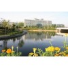 山东财经大学实践本科