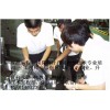 无锡级进模具设计培训，模具总体设计，工序工步设计