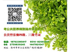 扬州2016国家公共营养师考证培训班
