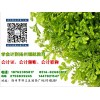 扬州会计实操培训，扬州会计做账培训