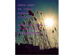 扬州新概念英语学习班-英语零基础培