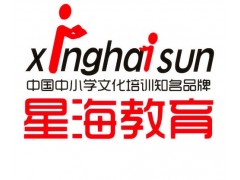 星海教育初三中考化学名师小班辅导