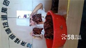 哪里可以学酱板鸭湖南常德酱板鸭技术培训