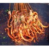 湖南有没有学做铁板鱿鱼的地方