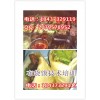 菏泽去哪学月亮馍去哪里学布袋馍技术我想学布袋馍小吃技术