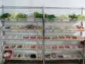 特色小火锅技术培训机构-学习正宗的小火锅去哪里