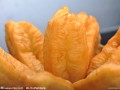 湖南油条培训，哪里有学油条的