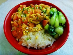 湖南在哪里可以学盖码饭