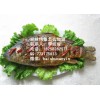 烤鱼加盟烤鱼怎么做烤鱼秘方