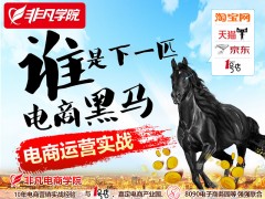 上海淘宝运营培训，网店运营培训，