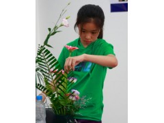 生活花艺，来一场与鲜花的浪漫邂逅