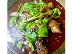 钱粮湖土鸭技术河南哪里有学,正宗钱