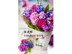 江阴鲜花插花培训 0基础学插花 想开