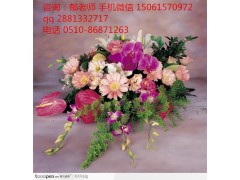 江阴月嫂培训的费用是多少 月嫂培训