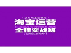 上海网络营销培训 实力见证