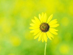 江阴哪里有土建预算软件培训 江阴预