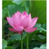中层经理沟通艺术与关系协调培训(北京2016年12月16日)