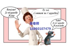 江阴学法语哪里好工作需要