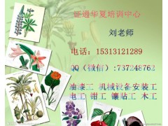 宜昌信号工管工模板工报名条件，施
