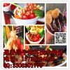 新乡2017盈香居牛排杯怎么做教牛排杯技术培训