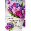 江阴鲜花插花全程实操班让你学更好的技能