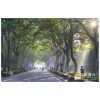 石家庄网络教育/成考/报名/华中师范大学