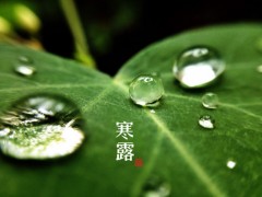 第18期中医美容师培训班（成都中医