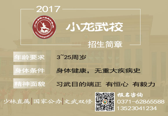 释小龙武校招生简章