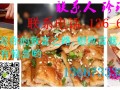 常德哪里可以学习酱香饼技术？