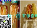 邵阳脆皮玉米培训学校