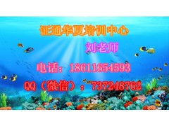 喀什标准员安全员施工员招生简章，