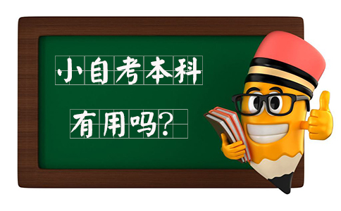 小自考本科有用吗?