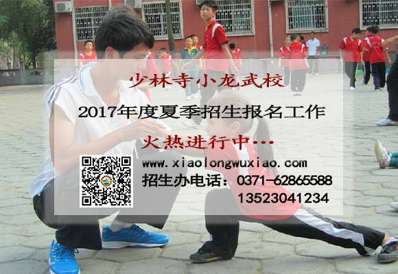 少林寺释小龙武术学校