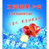 炒货培训 炒板栗培训 炒山楂培训加盟 炒瓜子炒花生培训