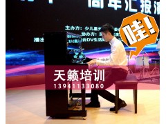 大连学吉他/尤克里里/钢琴/古筝/唢