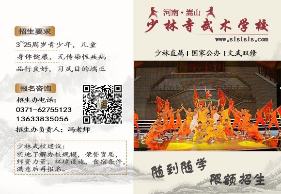 河南少林寺武术学校