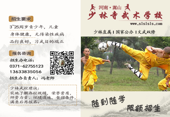 河南少林寺武术学校