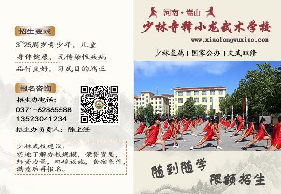 少林寺释小龙武术学校