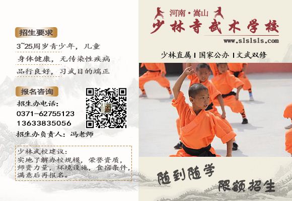 河南少林寺武术学校