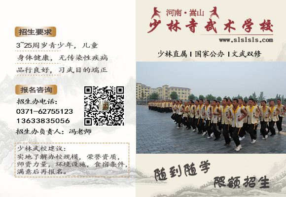 河南少林寺武术学校