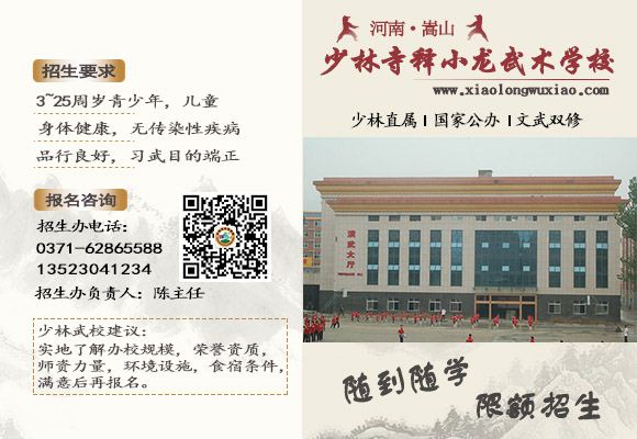 少林寺释小龙武术学校